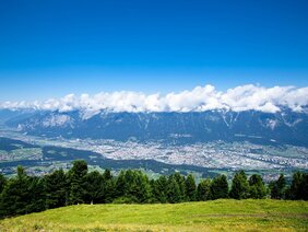 Sommerwiese auf einem Berg mit Blick auf Innsbruck